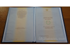 Диплом Магистр 2004-2009